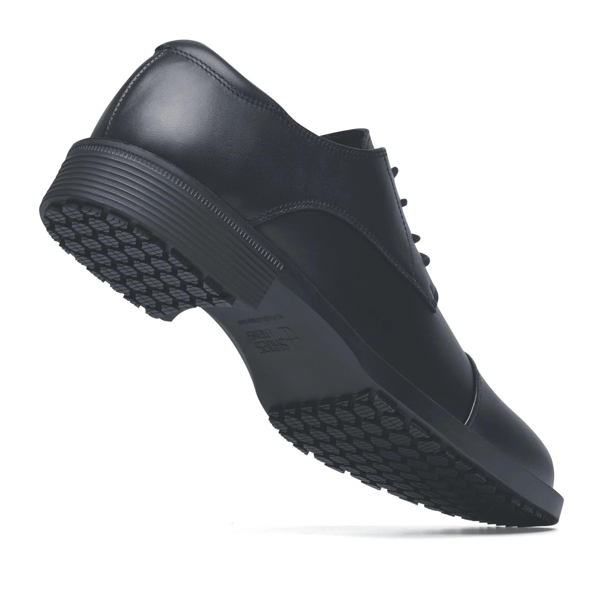 SENATOR SCHWARZ - Image 13